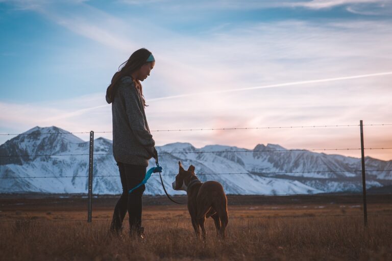 Mastering the Walk: A Guide to Leash Training Your Big Dog