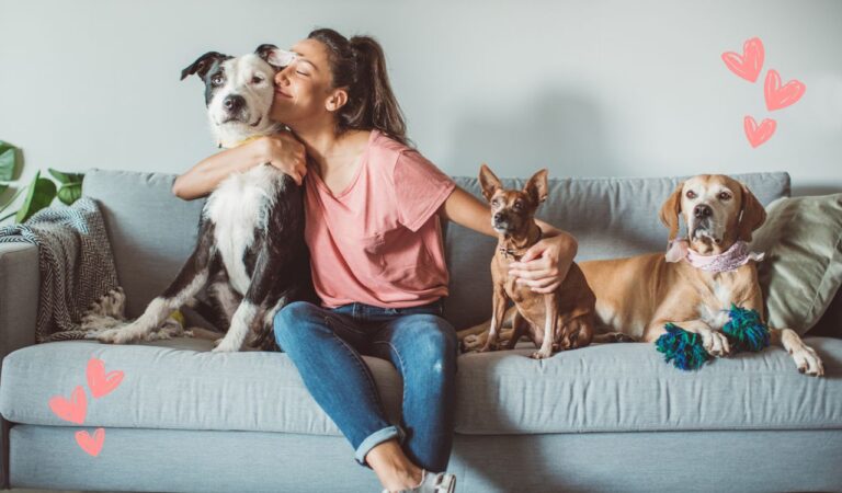 The Comfort and Healing Power of Pets